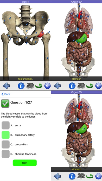 Visual Anatomyのおすすめ画像8