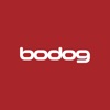 Bodog - live scores
