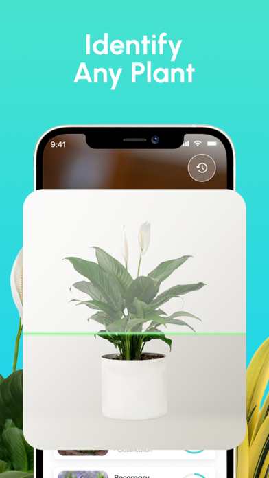 PlantoScan Plant Identifier Screenshot