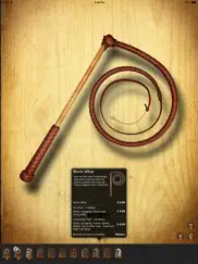 pocket whip iPad Captures Décran 4