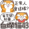 白爛貓43 省空間