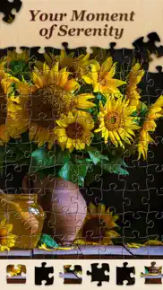 jigsawscapes® - jigsaw puzzles problems & solutions and troubleshooting guide - 3