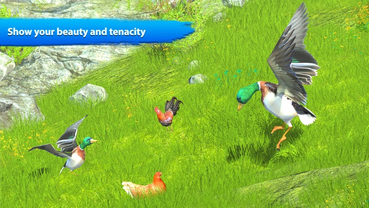 Duck Game Bird Simulator screenshot-5