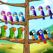 Birds Sort : Bird puzzle