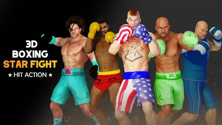 Boxing Star Fight: Hit Action screenshot-7