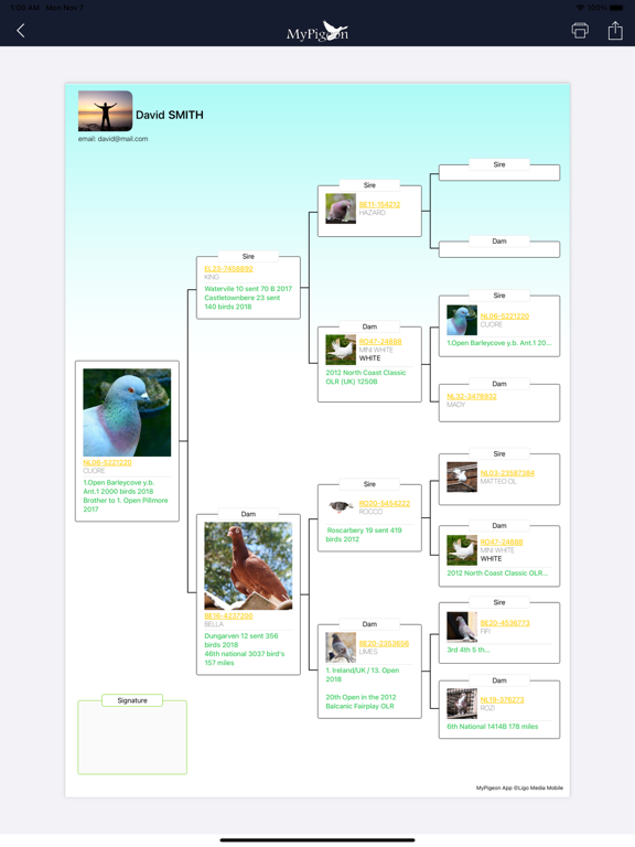 Screenshot #6 pour MyPigeon App