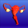 Atlas of Gynecology - LK