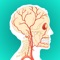 Study YOUR Anatomy Diagrams