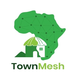 TownMesh