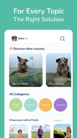 Game screenshot Hundeo: Dog Training & Tricks hack