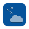 Tempo Weather icon
