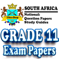 Grade 11 Exam Papers