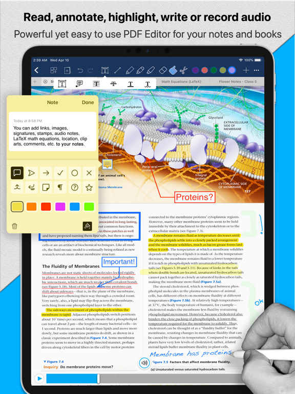 Notes Writer: PDF, Words, ePub screenshot 2