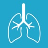Respiratory System Study Cards