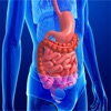 Anatomy : Digestive System icon