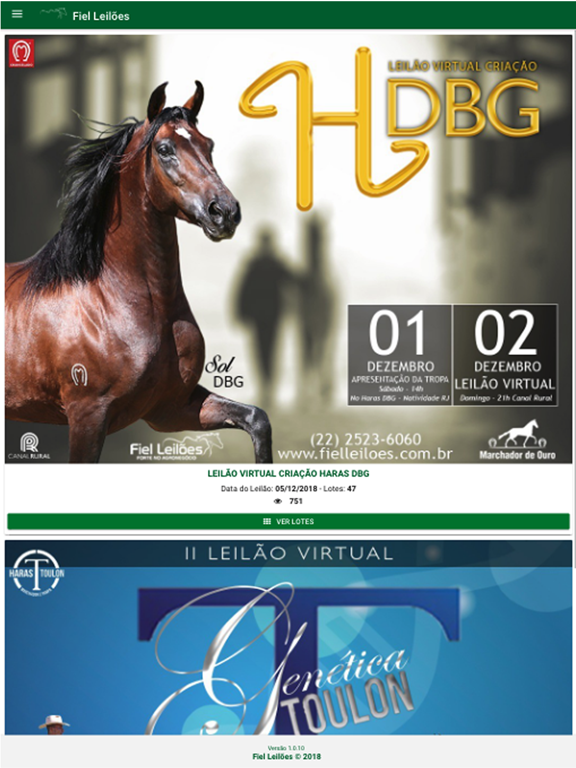 Screenshot #4 pour Fiel Leilões