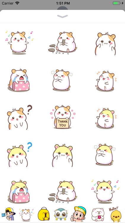 Hamster Animated