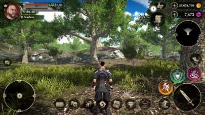 Evil Lands: MMO RPG Screenshot