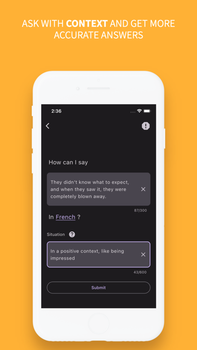How Can I Say: Language Helper Screenshot