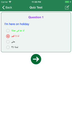 Learn Arabic Language Offline screenshot 4