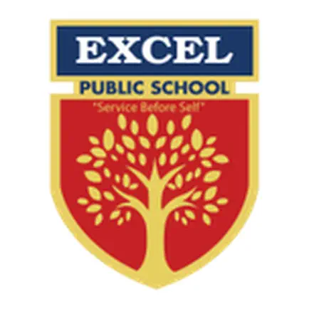 Excel Public School Читы