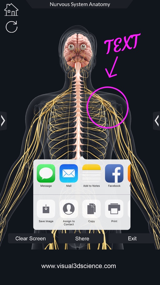 #8. My Nervous System Anatomy (iOS) 由: Santosh Chavan