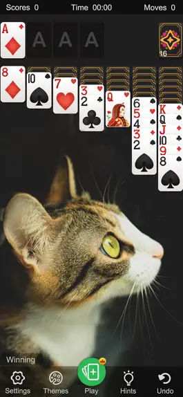 Game screenshot Solitaire Classic Klondike Go apk