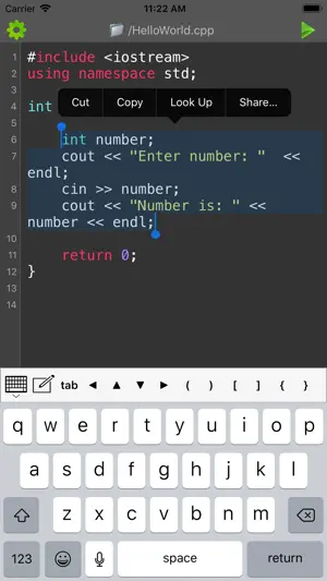 C/C++ Programming Compiler screenshot 3