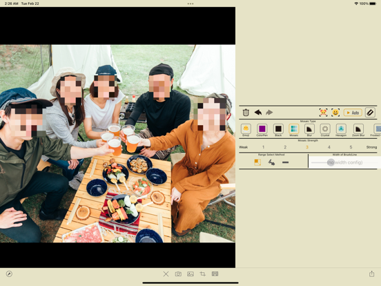 Screenshot #4 pour Instant Blur - Photo Privacy