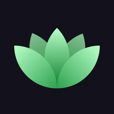 Tranquil Panic Attack Relief Cheats
