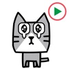 KAKU Cat 1 Animation Sticker