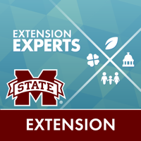 MSU-E Experts Directory