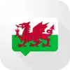 Welsh Verb Blitz contact information