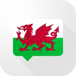 Welsh Verb Blitz app icon