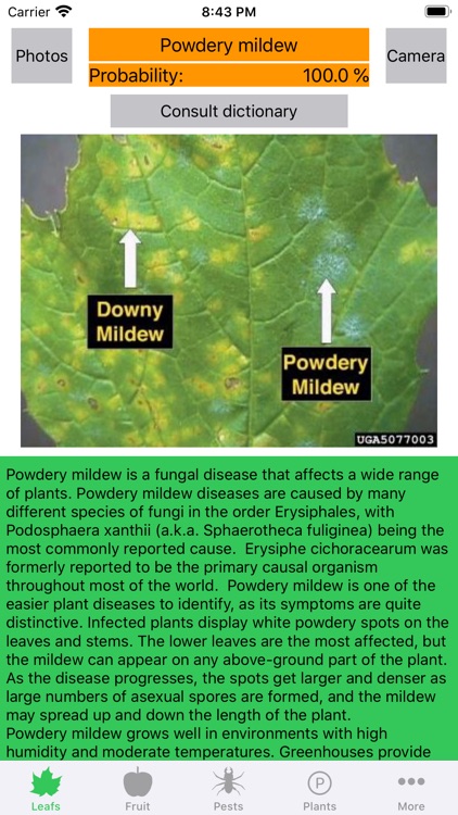 Plant diseases and pests