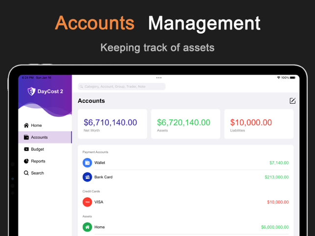 DayCost 2 - Schermata di finanza personale