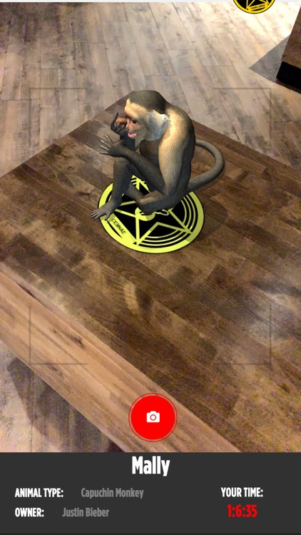 Beyond The Lens screenshot-3