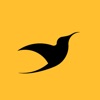 City Bird Rides