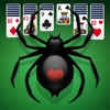 Spider Solitaire for Seniors icon