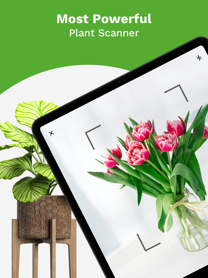 Ai Plant Identifier  PlantID