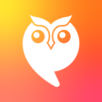 Hoot by Loop