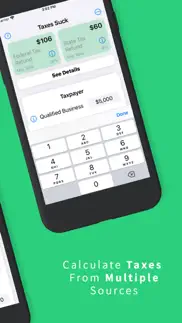 taxes suck: usa federal state iphone screenshot 3