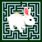 Maze Escape Rabbit Runner