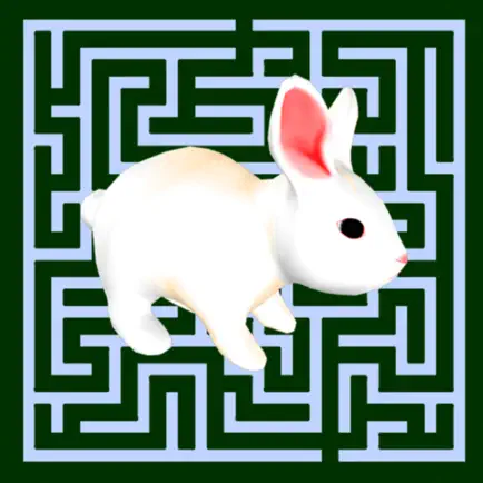 Maze Escape: Rabbit Runner Cheats