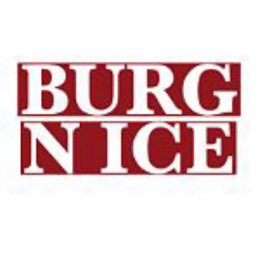 Burg N Ice Online icon