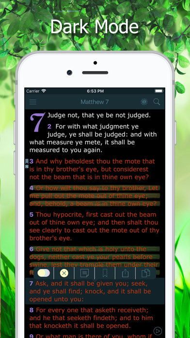 King James Bible with Audio Screenshot