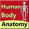 body anatomy guide icon