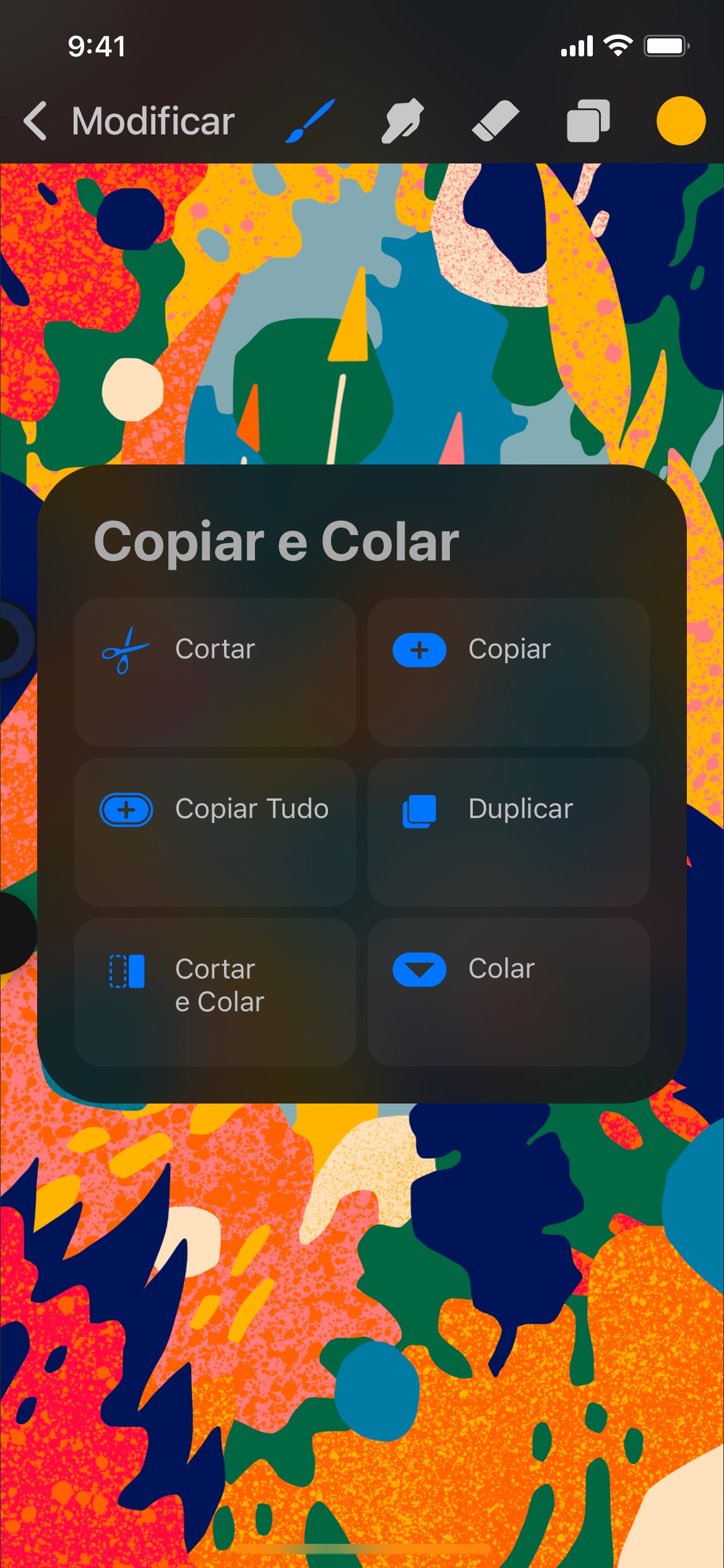 Screenshot do app Procreate Pocket