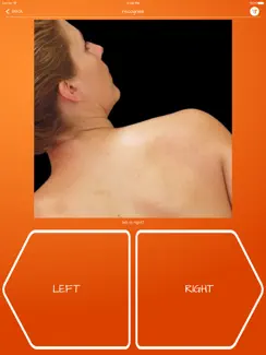 Recognise Neck iPad image 2