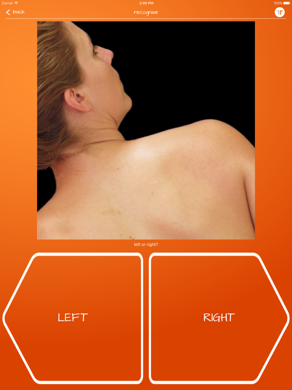 Screenshot #5 pour Recognise Neck